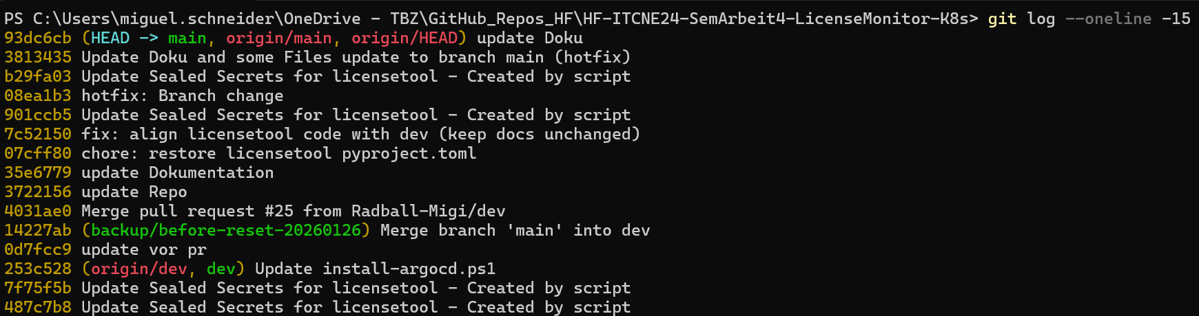 Git Log nach Merge-Korrektur